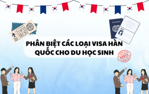 Phân biệt các loại visa hàn quốc cho du học sinh
