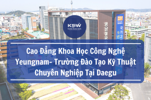 Cao Đẳng Khoa Học Công Nghệ Yeungnam - Trường Đào Tạo Kỹ Thuật Chuyên Nghiệp Tại Daegu