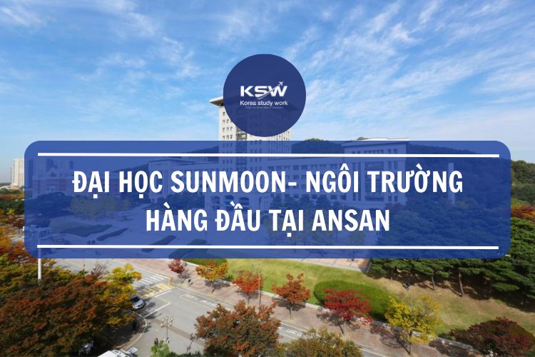 Korea Study Work