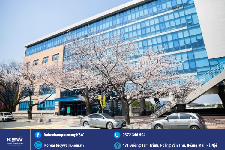 Trường Đại Học Paichai- Trường Nhận Giáo Dục Thường Xuyên