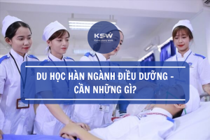 Du học ngành điều dưỡng cần chú ý những gì?