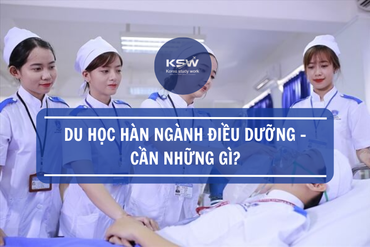 Du học ngành điều dưỡng cần chú ý những gì?