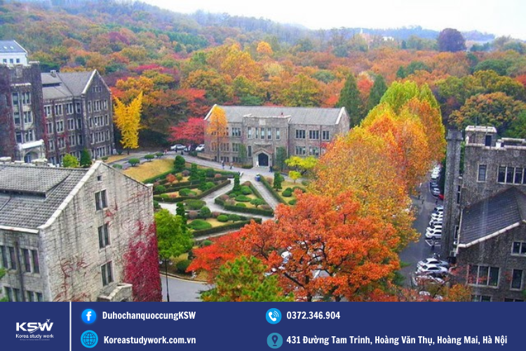 Khung Cảnh Trường Đại Học Yonsei