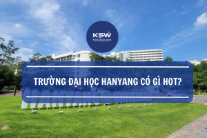 Trường Đại học Hanyang có gì hot
