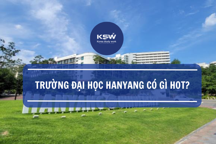 Trường Đại học Hanyang có gì hot