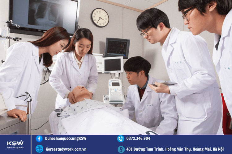 Từ vựng nghề nghiệp tiếng Hàn nghề bác sỹ