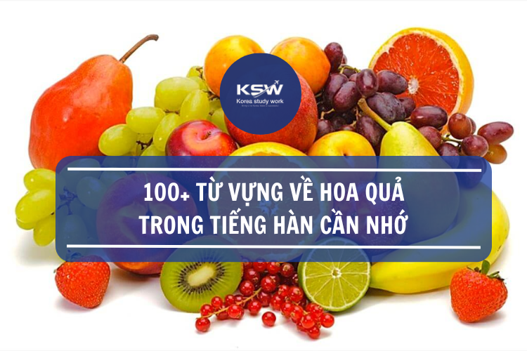 100+ Từ Vựng Về Hoa Quả Trong Tiếng Hàn Cần Nhớ