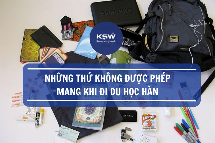 Những Thứ Không Được Phép Mang Khi Đi Du Học Hàn