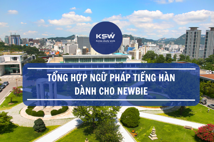 Tổng hợp ngữ pháp tiếng Hàn dành cho Newbie
