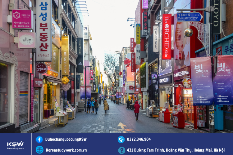 Các Loại Visa D2 Gồm Những Loại Nào