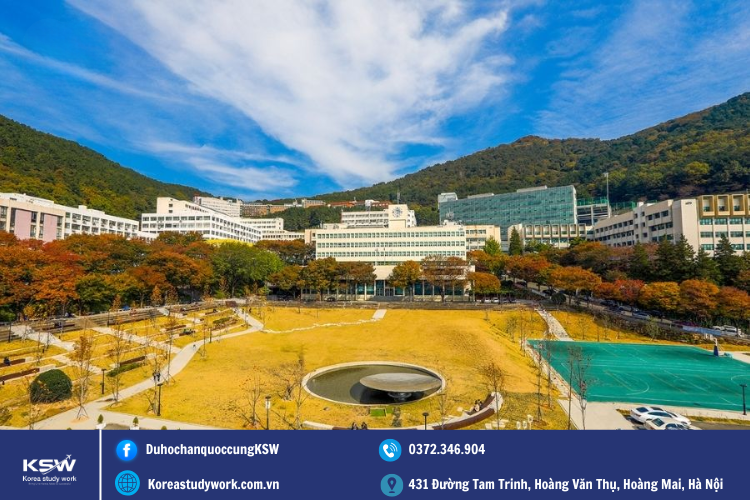 Chương trình đào tạo tiếng Hàn của trường đại học DongA