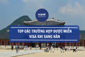 Top Các Trường Hợp Được Miễn Visa Sang Hàn