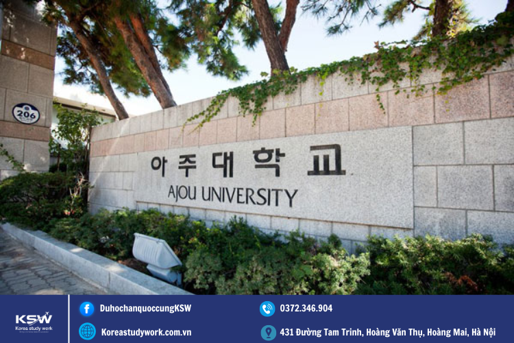 Các chuyên ngành tại trường đại học Ajou