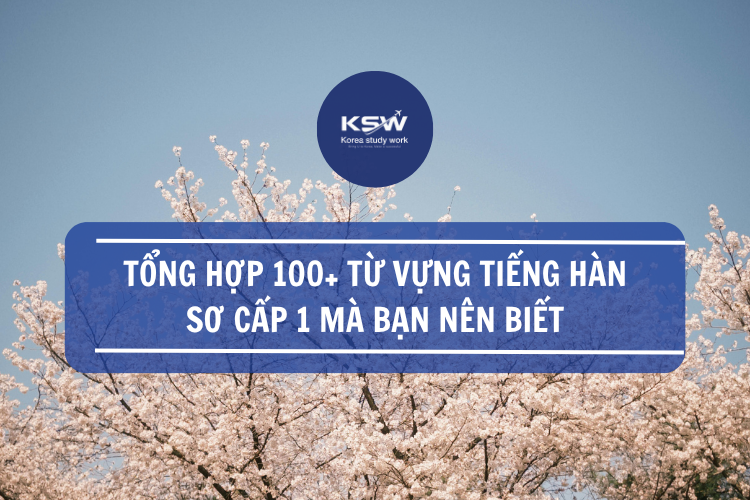 Tổng hợp 100+ từ vựng tiếng Hàn sơ cấp 1 mà bạn nên biết