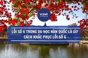 Lỗi Số 6 Trong Du Học Hàn Quốc Là Gì Cách Khắc Phục Lỗi Số 6