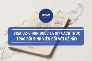 Visa D2-6 Hàn Quốc Là Gì Cách Thức Trao Đổi Sinh Viên Đối Với Hệ Này