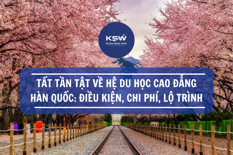 Tất Tần Tẩ về hệ Du học Cao Đẳng Hàn Quốc : Điều kiện, Chi phí, Lộ trình