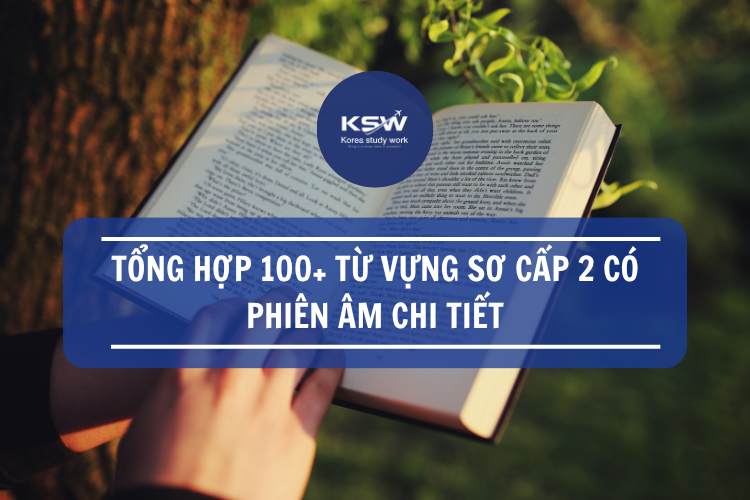 Tổng Hợp 100 Từ Vựng Sơ Cấp 2 Có Phiên âm Chi Tiết