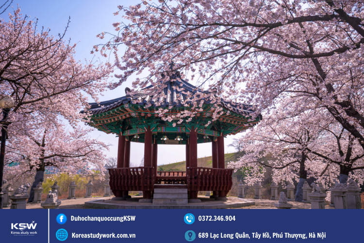 Korea Study Work